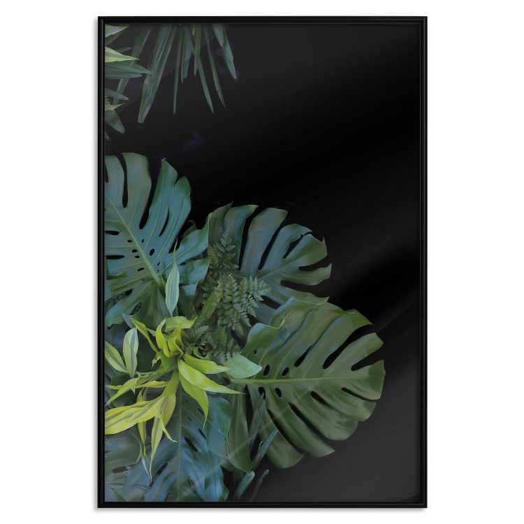 Wall Poster Monstera - Botanical composition of tropical leaves on a black background 114197 additionalImage 16
