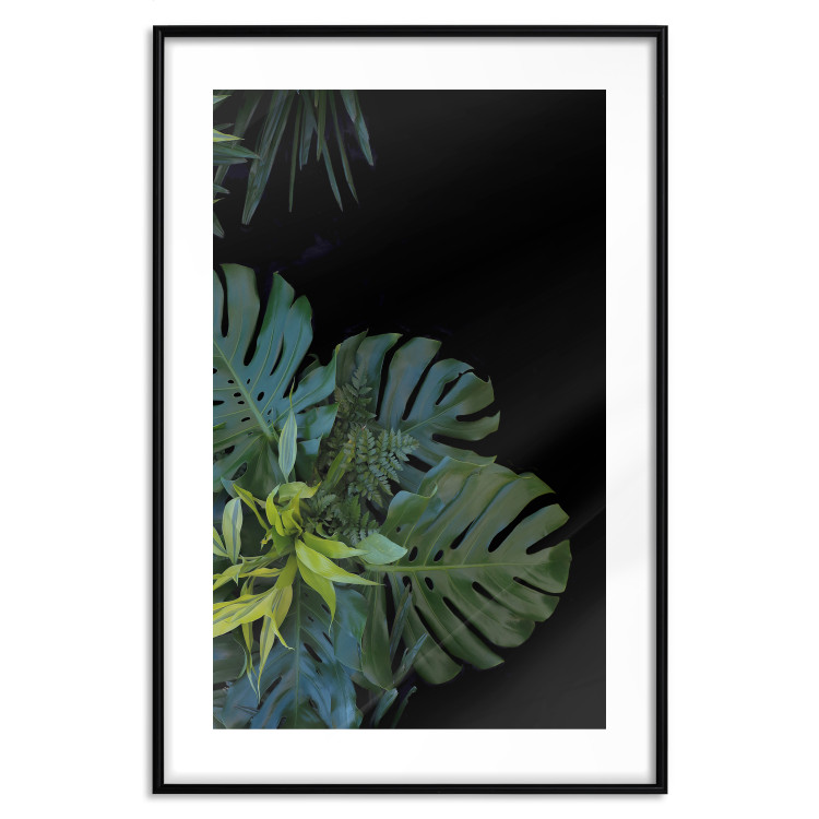 Wall Poster Monstera - Botanical composition of tropical leaves on a black background 114197 additionalImage 19