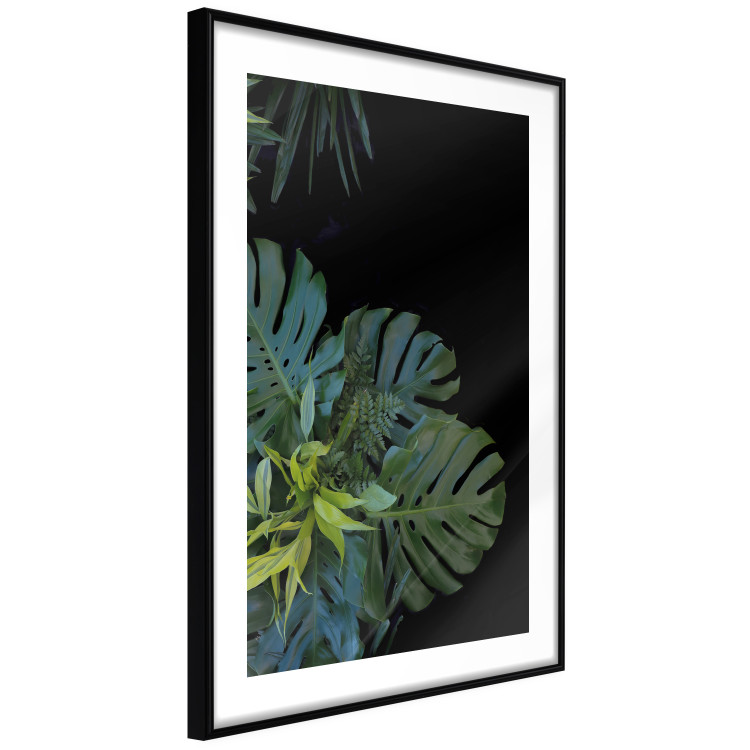 Wall Poster Monstera - Botanical composition of tropical leaves on a black background 114197 additionalImage 8