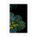 Wall Poster Monstera - Botanical composition of tropical leaves on a black background 114197 additionalThumb 18