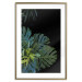 Wall Poster Monstera - Botanical composition of tropical leaves on a black background 114197 additionalThumb 18