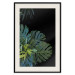Wall Poster Monstera - Botanical composition of tropical leaves on a black background 114197 additionalThumb 26