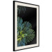 Wall Poster Monstera - Botanical composition of tropical leaves on a black background 114197 additionalThumb 2