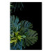 Wall Poster Monstera - Botanical composition of tropical leaves on a black background 114197