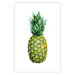 Wall Poster Pineapple - composition with a tropical fruit on a solid white background 114297