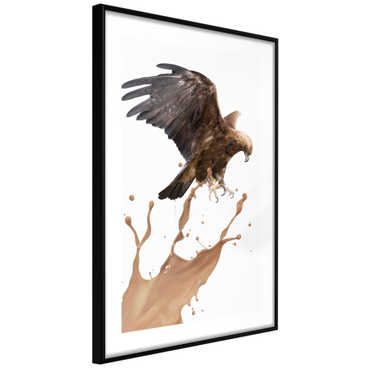 Poster Eagle - Predatory bird and brown paint on a solid background 114397 additionalImage 11
