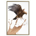 Poster Eagle - Predatory bird and brown paint on a solid background 114397 additionalThumb 16