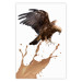 Poster Eagle - Predatory bird and brown paint on a solid background 114397
