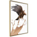Poster Eagle - Predatory bird and brown paint on a solid background 114397 additionalThumb 12
