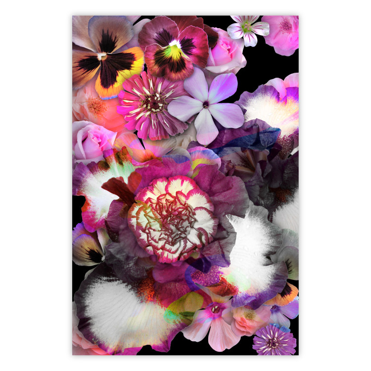 Wall Poster Harmony of Colors - composition with various colorful flowers on a black background 117997