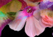 Wall Poster Harmony of Colors - composition with various colorful flowers on a black background 117997 additionalThumb 7