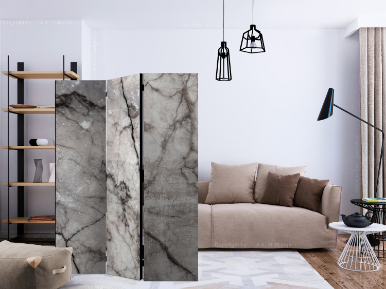 Room Divider Gray Marble - stone texture of gray marble with dark patterns 123297 additionalImage 4