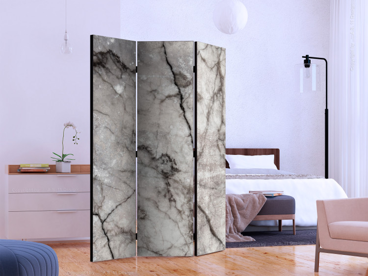 Room Divider Gray Marble - stone texture of gray marble with dark patterns 123297 additionalImage 2