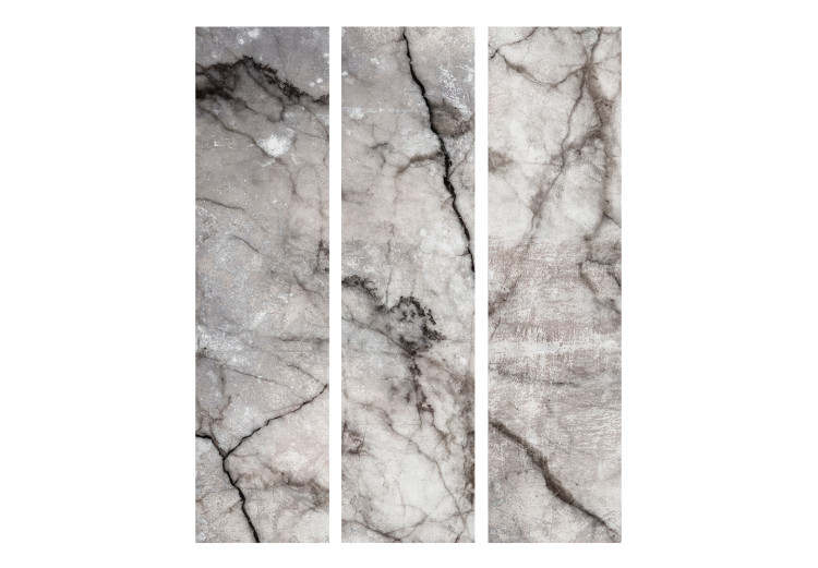 Room Divider Gray Marble - stone texture of gray marble with dark patterns 123297 additionalImage 3