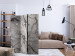 Room Divider Gray Marble - stone texture of gray marble with dark patterns 123297 additionalThumb 4