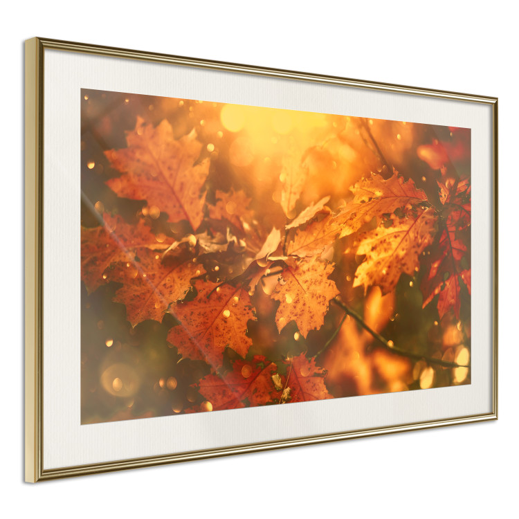 Poster Dancing Leaves - orange plants in golden autumn motif 123797 additionalImage 2