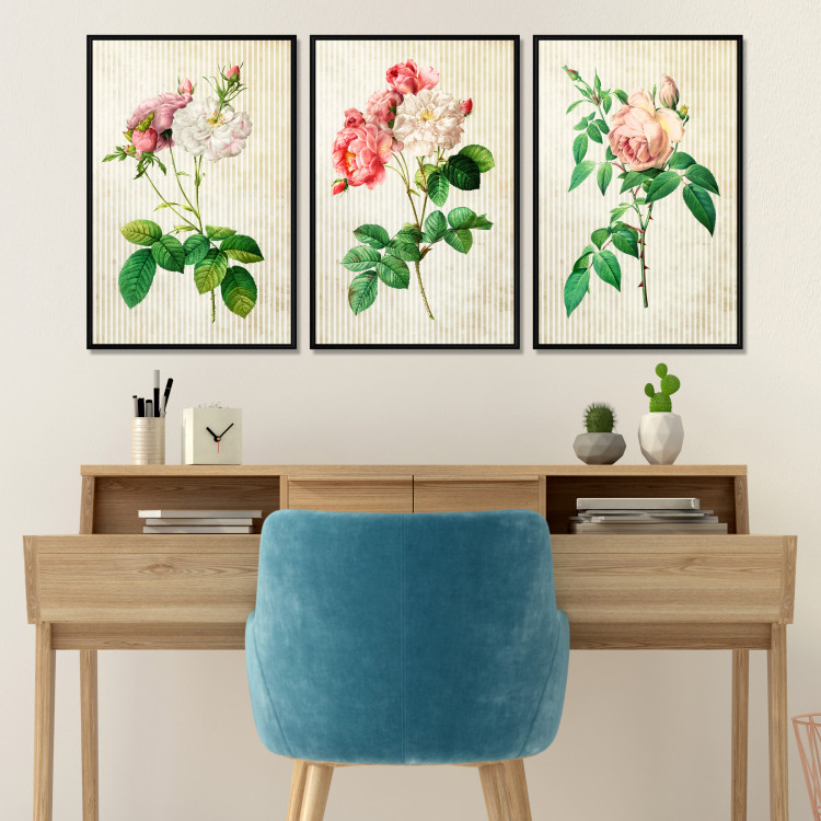 Wall gallery Vintage Roses 124797 additionalImage 2