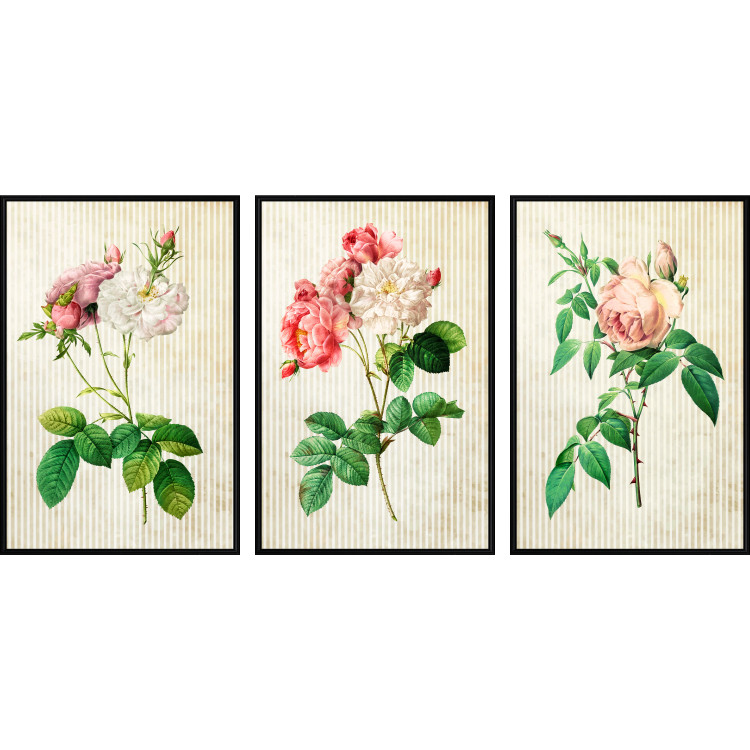 Wall gallery Vintage Roses 124797 additionalImage 1