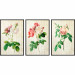 Wall gallery Vintage Roses 124797 additionalThumb 1
