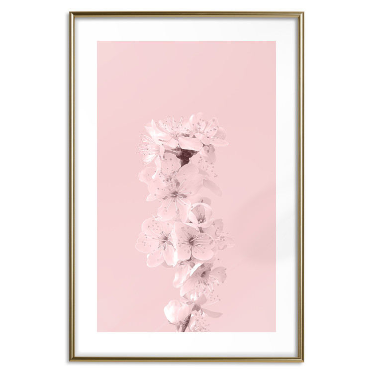 Poster In Bloom - pink plant composition with flowers on solid background 127897 additionalImage 14