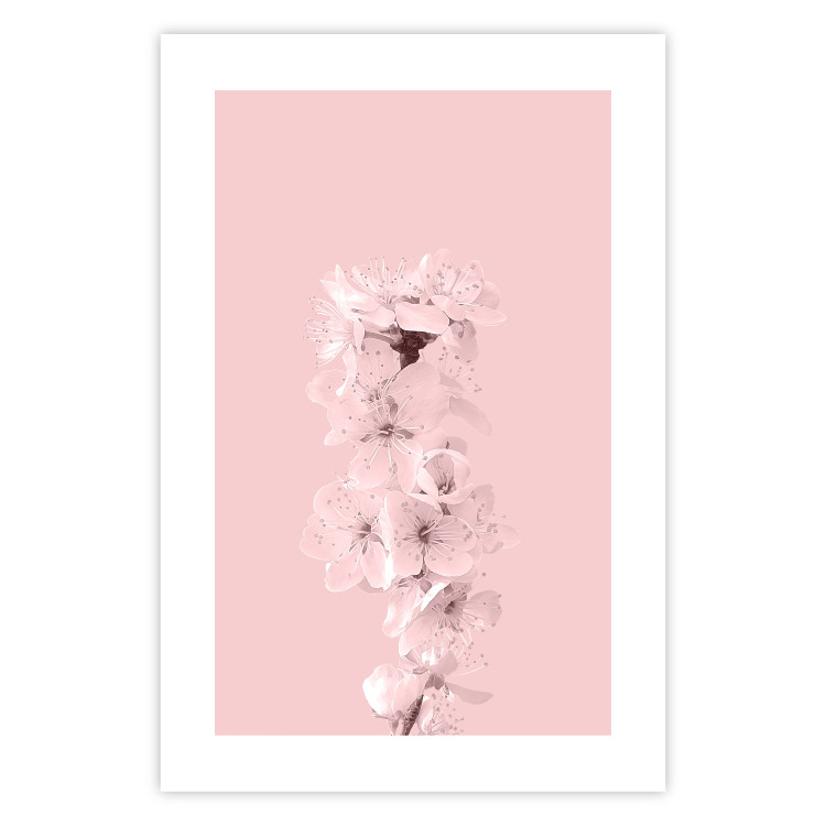 Poster In Bloom - pink plant composition with flowers on solid background 127897 additionalImage 19