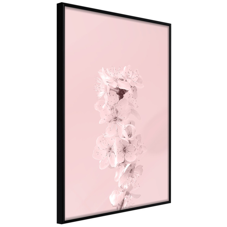 Poster In Bloom - pink plant composition with flowers on solid background 127897 additionalImage 11