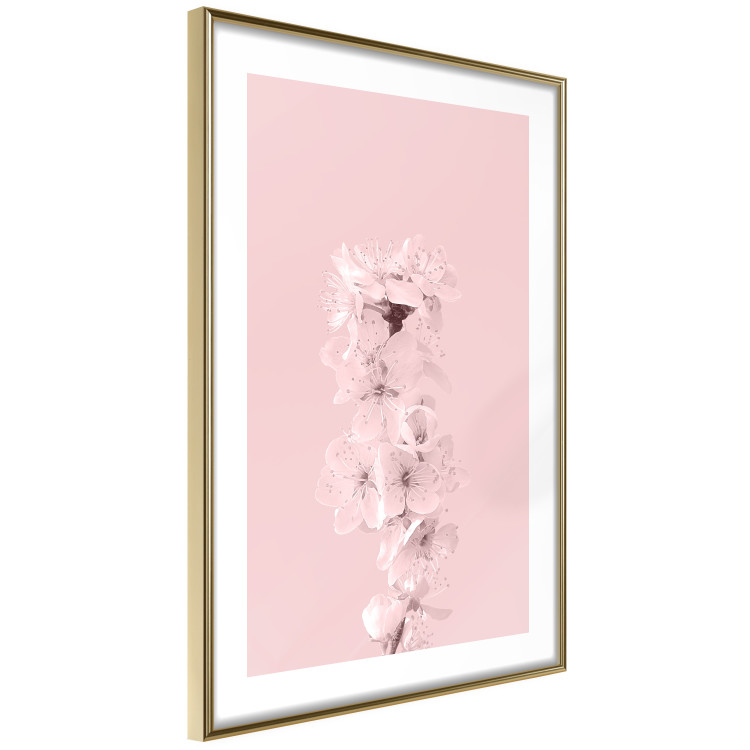 Poster In Bloom - pink plant composition with flowers on solid background 127897 additionalImage 7