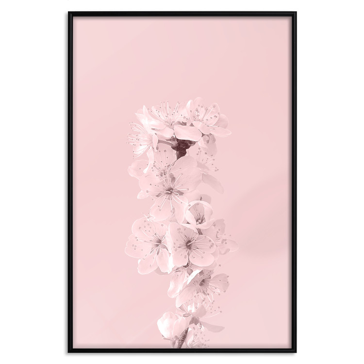 Poster In Bloom - pink plant composition with flowers on solid background 127897 additionalImage 16