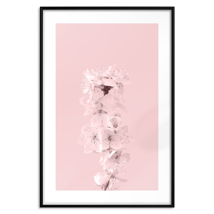 Poster In Bloom - pink plant composition with flowers on solid background 127897 additionalImage 15