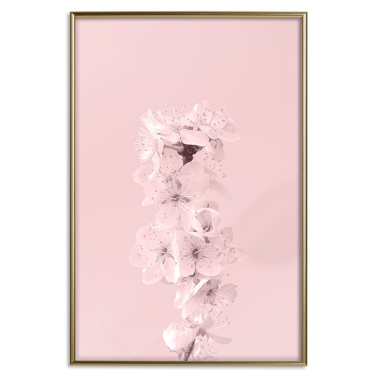 Poster In Bloom - pink plant composition with flowers on solid background 127897 additionalImage 17