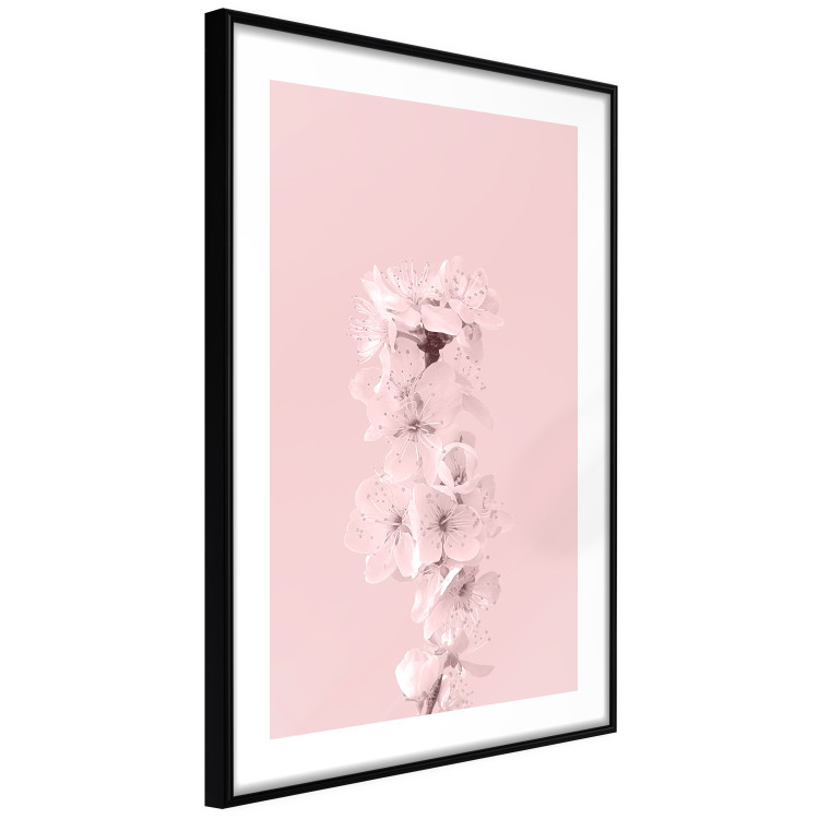 Poster In Bloom - pink plant composition with flowers on solid background 127897 additionalImage 6