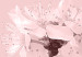 Poster In Bloom - pink plant composition with flowers on solid background 127897 additionalThumb 9