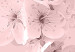 Poster In Bloom - pink plant composition with flowers on solid background 127897 additionalThumb 10