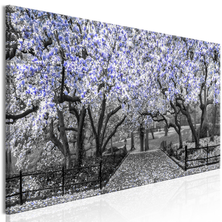 Canvas Art Print Blooming Magnolias - horizontal composition of violet shaded magnolia 128797 additionalImage 2