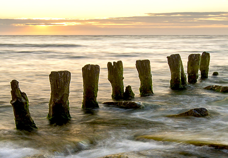 Large canvas print Wooden Breakwaters II [Large Format] 128897 additionalImage 4