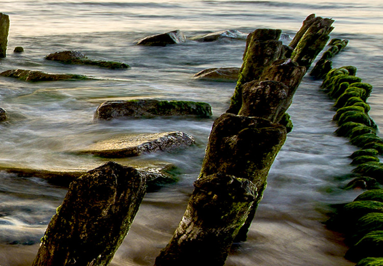 Large canvas print Wooden Breakwaters II [Large Format] 128897 additionalImage 3