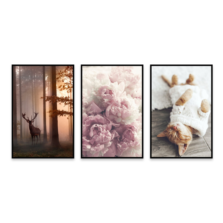 Set of wall art A deer and a cat 129297 additionalImage 1