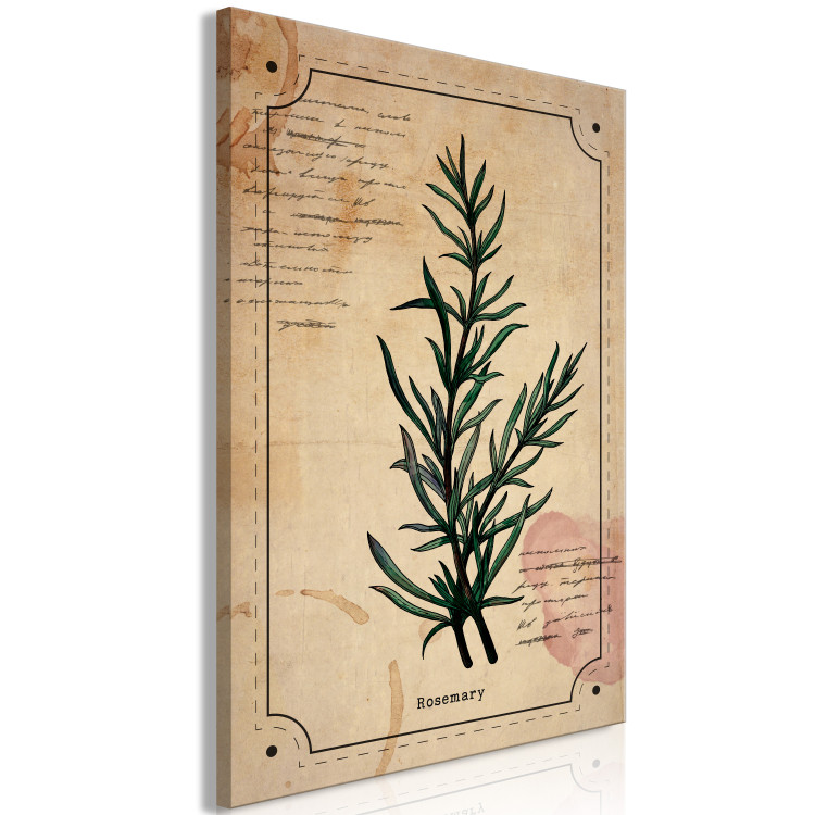 Canvas Art Print Rosemary sprig - retro graphic with a plant with inscriptions 129397 additionalImage 2