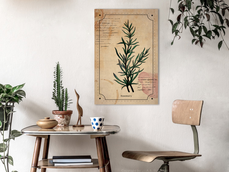 Canvas Art Print Rosemary sprig - retro graphic with a plant with inscriptions 129397 additionalImage 3