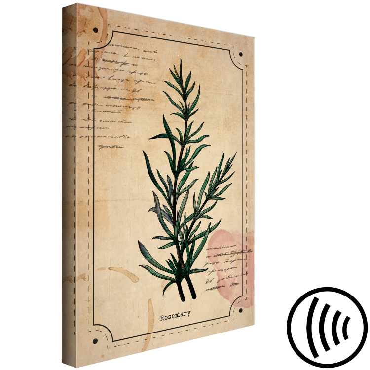 Canvas Art Print Rosemary sprig - retro graphic with a plant with inscriptions 129397 additionalImage 6