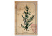 Canvas Art Print Rosemary sprig - retro graphic with a plant with inscriptions 129397