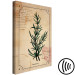 Canvas Art Print Rosemary sprig - retro graphic with a plant with inscriptions 129397 additionalThumb 6