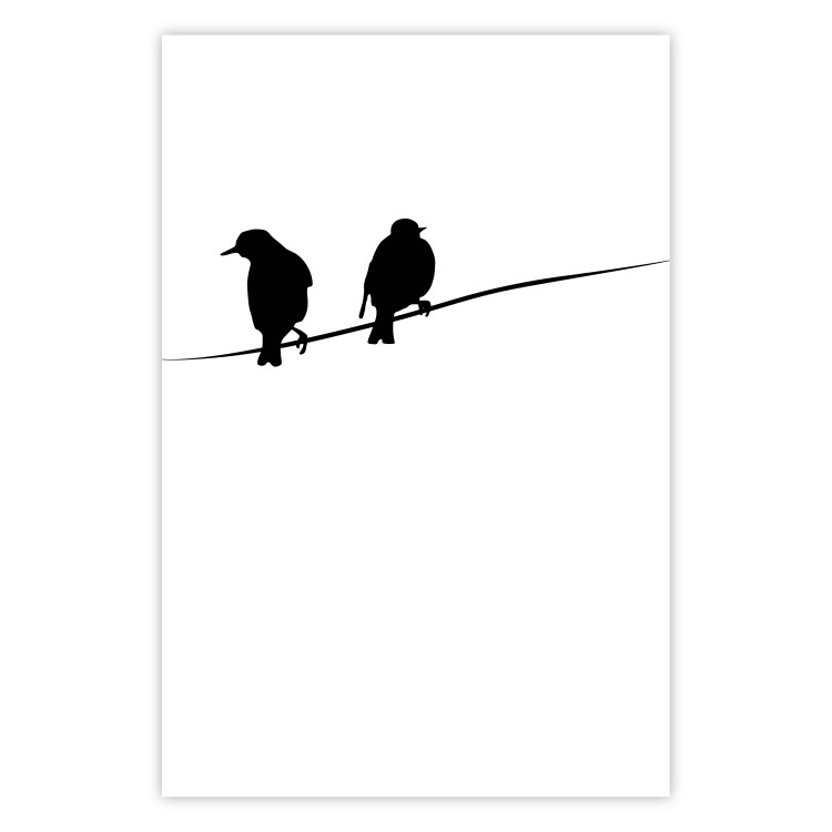 Poster Bird Chatter - birds sitting on wires on plain white background 129597