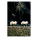 Poster Follow Me! - landscape of walking animals against a blurred green background 130297
