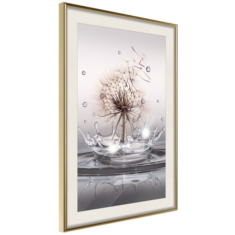 Poster Wind Drops - dandelion in water creating ripples on a light background 132197 additionalImage 3