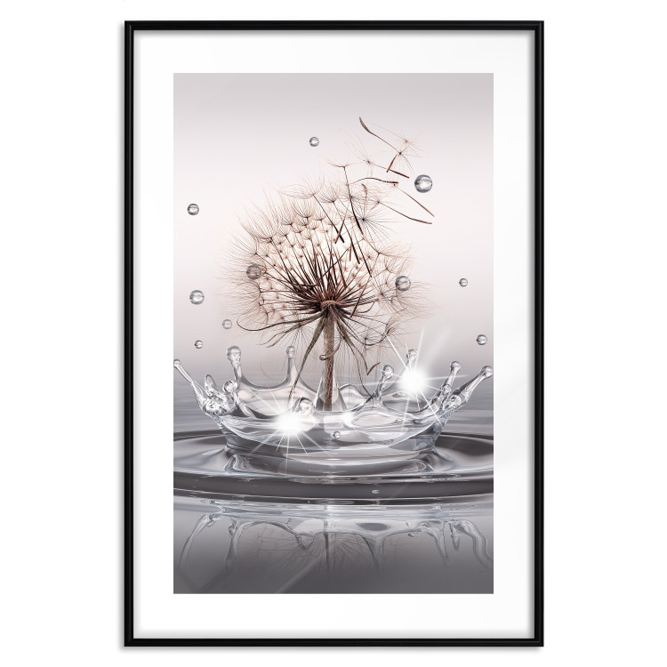 Poster Wind Drops - dandelion in water creating ripples on a light background 132197 additionalImage 17
