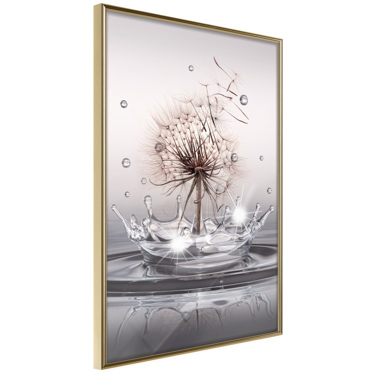 Poster Wind Drops - dandelion in water creating ripples on a light background 132197 additionalImage 14