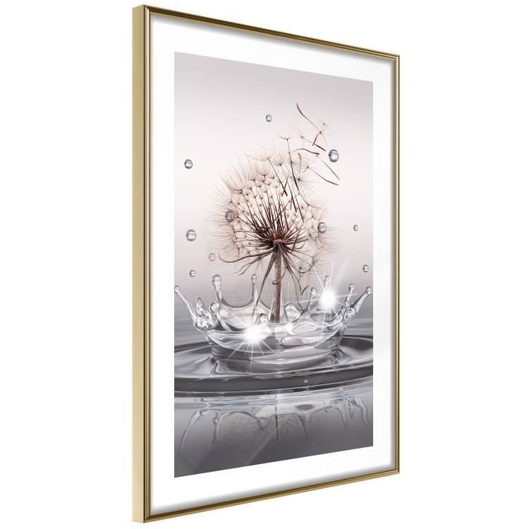 Poster Wind Drops - dandelion in water creating ripples on a light background 132197 additionalImage 9