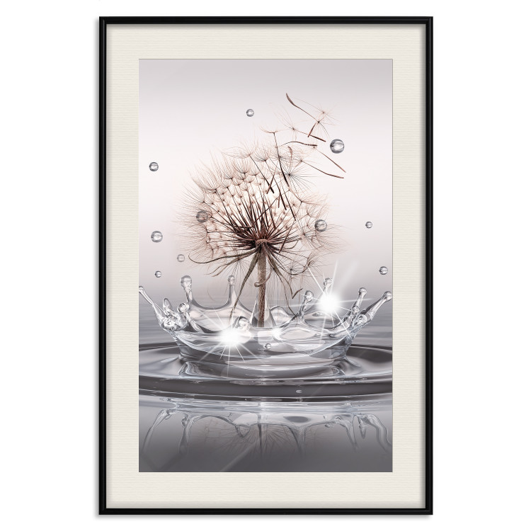Poster Wind Drops - dandelion in water creating ripples on a light background 132197 additionalImage 19
