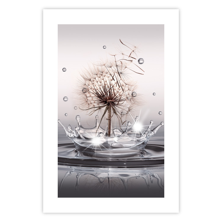 Poster Wind Drops - dandelion in water creating ripples on a light background 132197 additionalImage 25